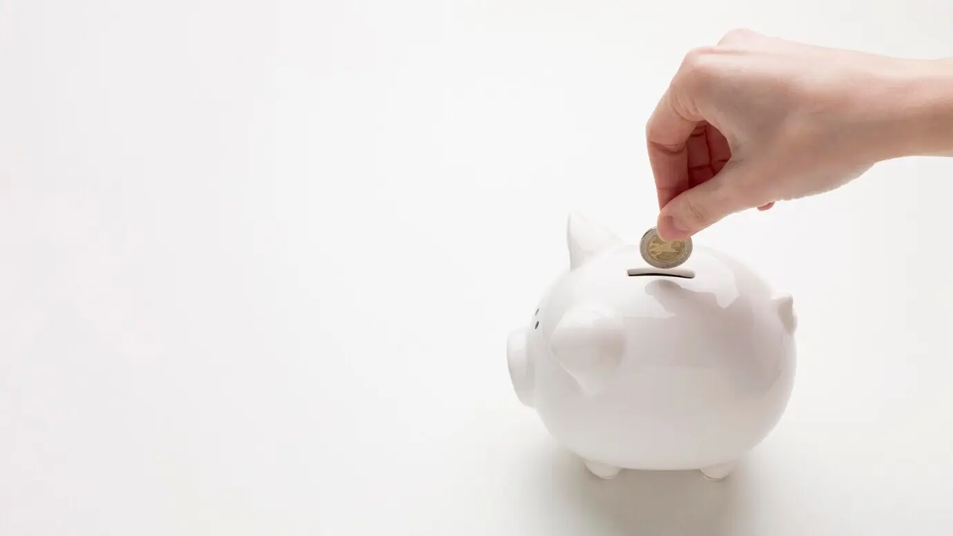 Economy concept featuring a piggy bank and money