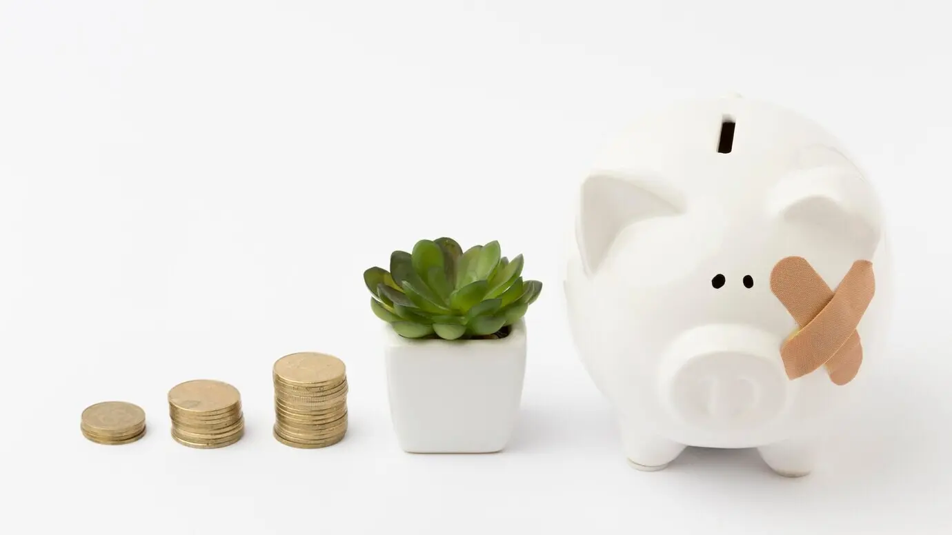 Stacks of coins and a broken piggy bank